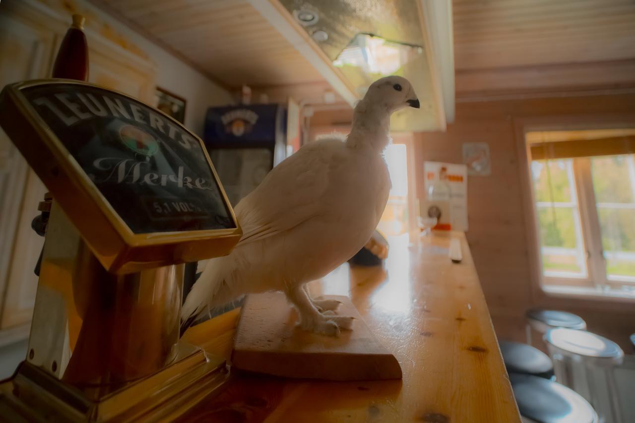 Umnas Adventure Hotel Storuman Zewnętrze zdjęcie