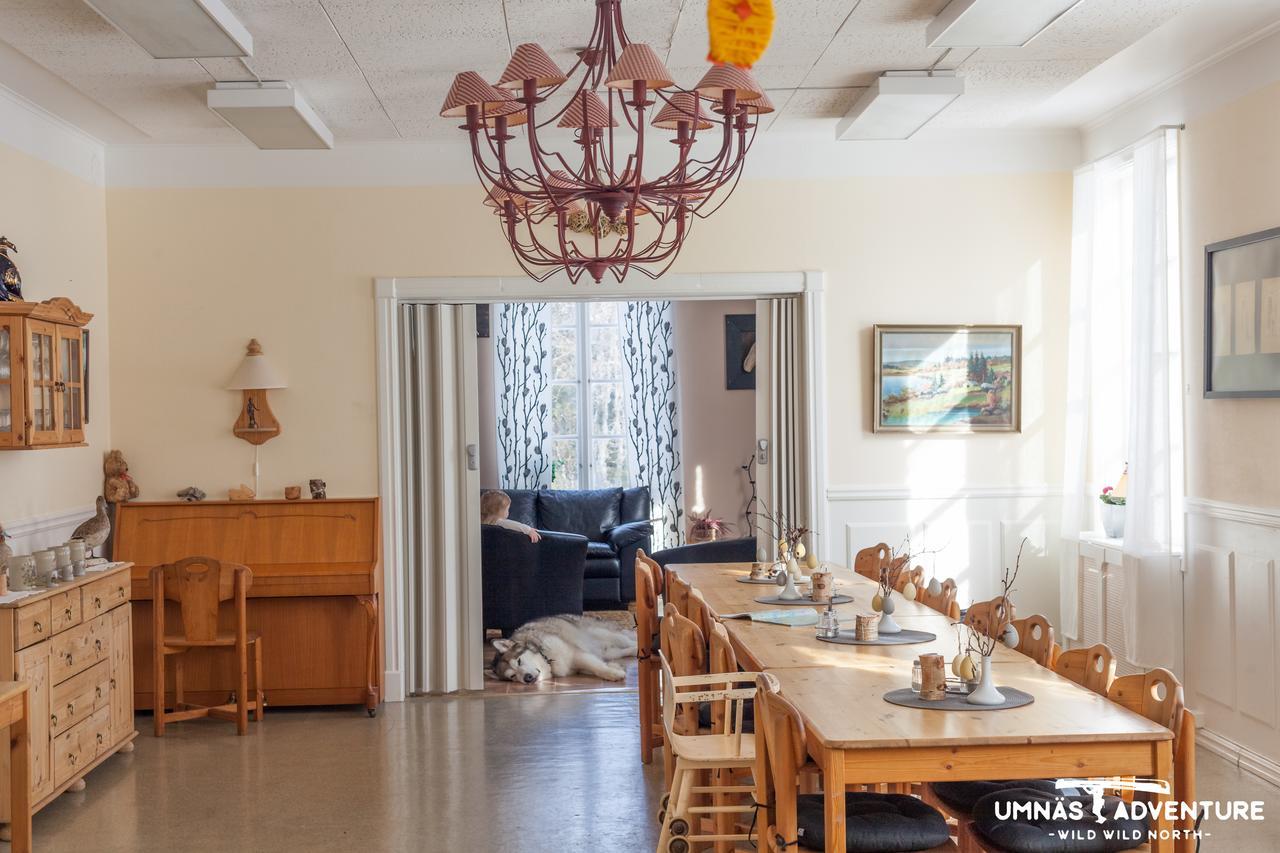 Umnas Adventure Hotel Storuman Zewnętrze zdjęcie