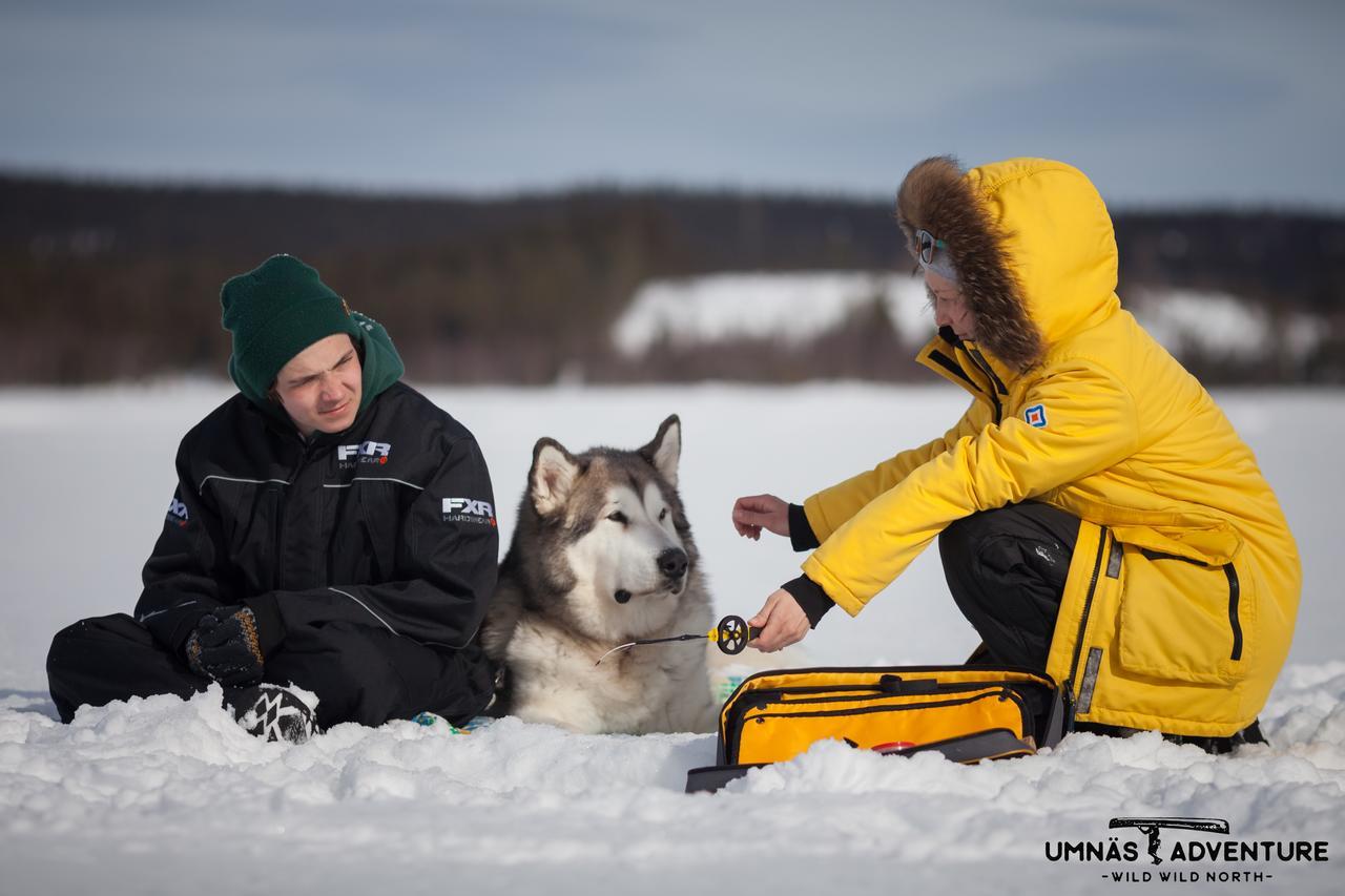 Umnas Adventure Hotel Storuman Zewnętrze zdjęcie